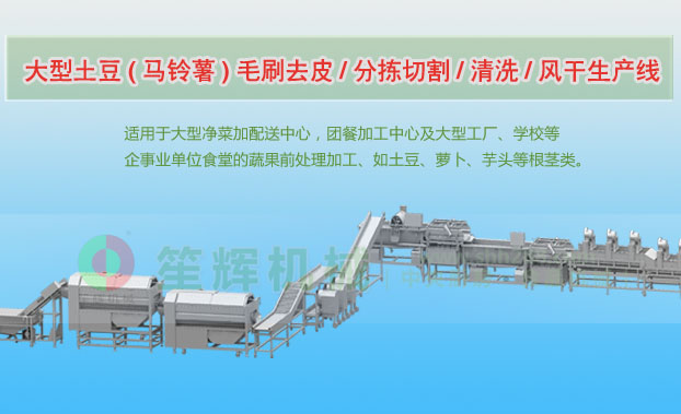 宣州连续式土豆去皮清洗切割风干生产线